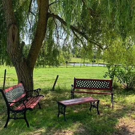 Hébergement de vacances Gîte de la petite Moncelière Toutlemonde